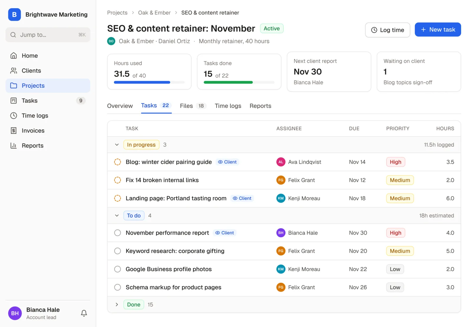 A marketing agency's SEO and content retainer for a client in Rowmesh: hours used against the retainer, and its tasks grouped by status with assignees, due dates, priorities and which tasks the client can see