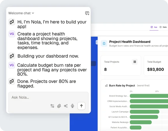 Mesh building a project health dashboard from a prompt, then flagging projects over 80% of budget