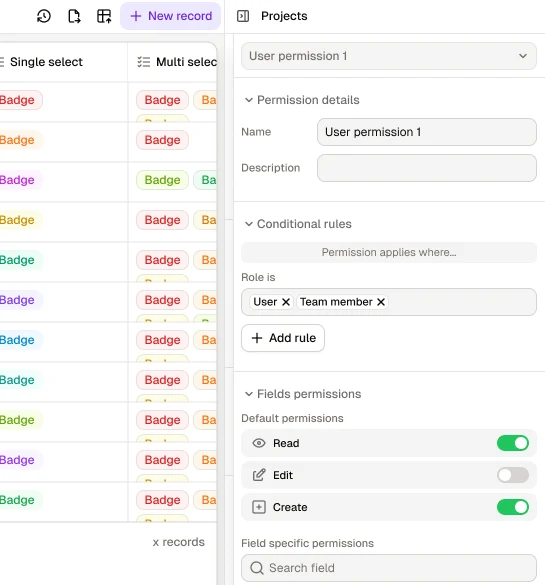A table permission for the User and Team member roles, with read, edit and create toggles for each field